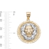 Sterling Silver and 14K Gold Plated Lion's Head Medallion Charm