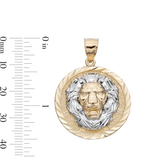 Sterling Silver and 14K Gold Plated Lion's Head Medallion Charm