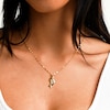 10K Hollow Gold Puff Dolphin Necklace Charm