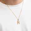 ​​​​​​​​​​​​​​10K Solid Gold 1/10 CT. T.W. Diamond Scorpion Charm